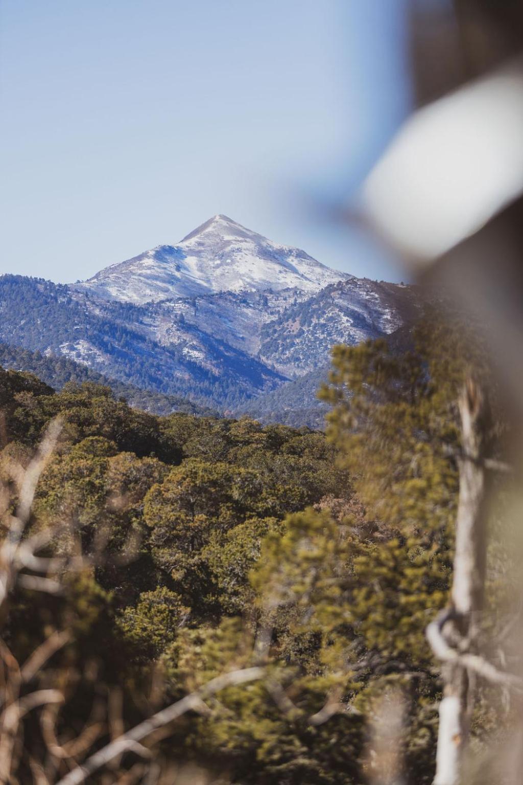 Zia Geo Dome At El Mistico Ranch, Glamping Villa Nogal Exterior photo